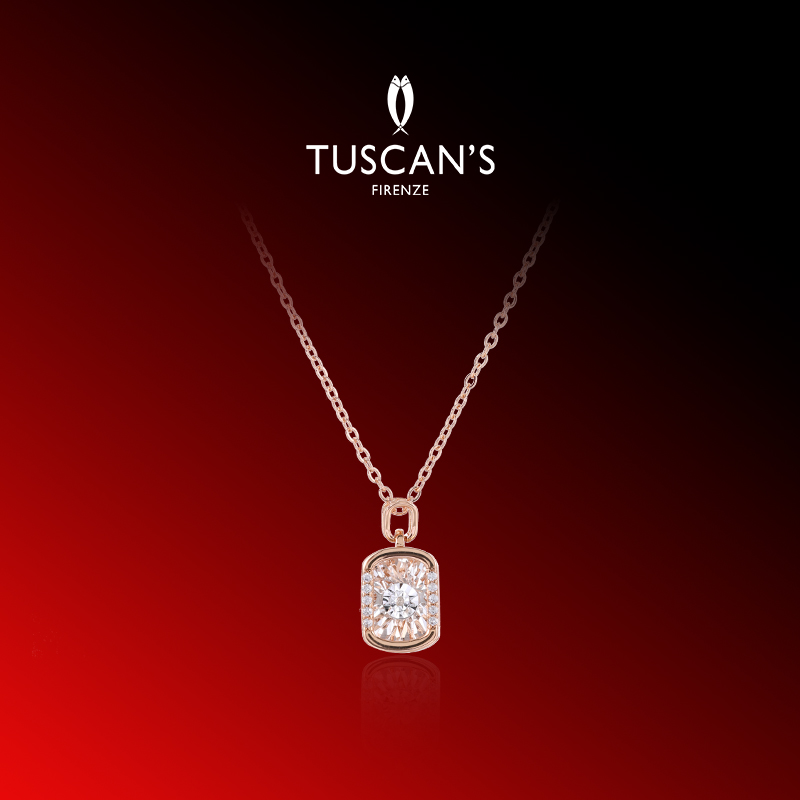 TUSCAN'S 铜锆石项链 气质款长方形灵动镶钻锁骨链精致项链