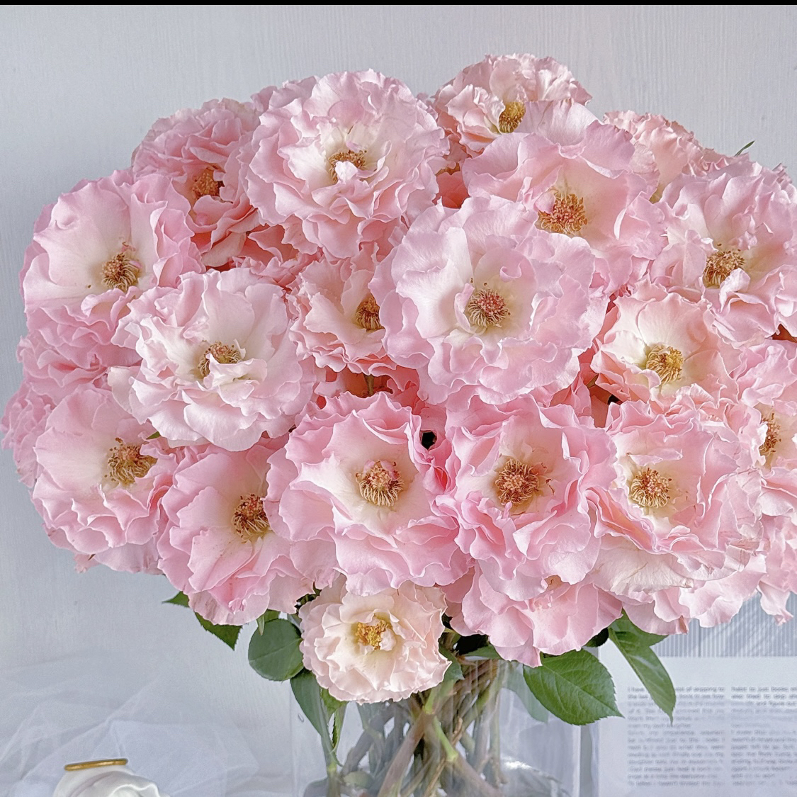 人鱼公主（任意两单包邮，一单需要补运费）