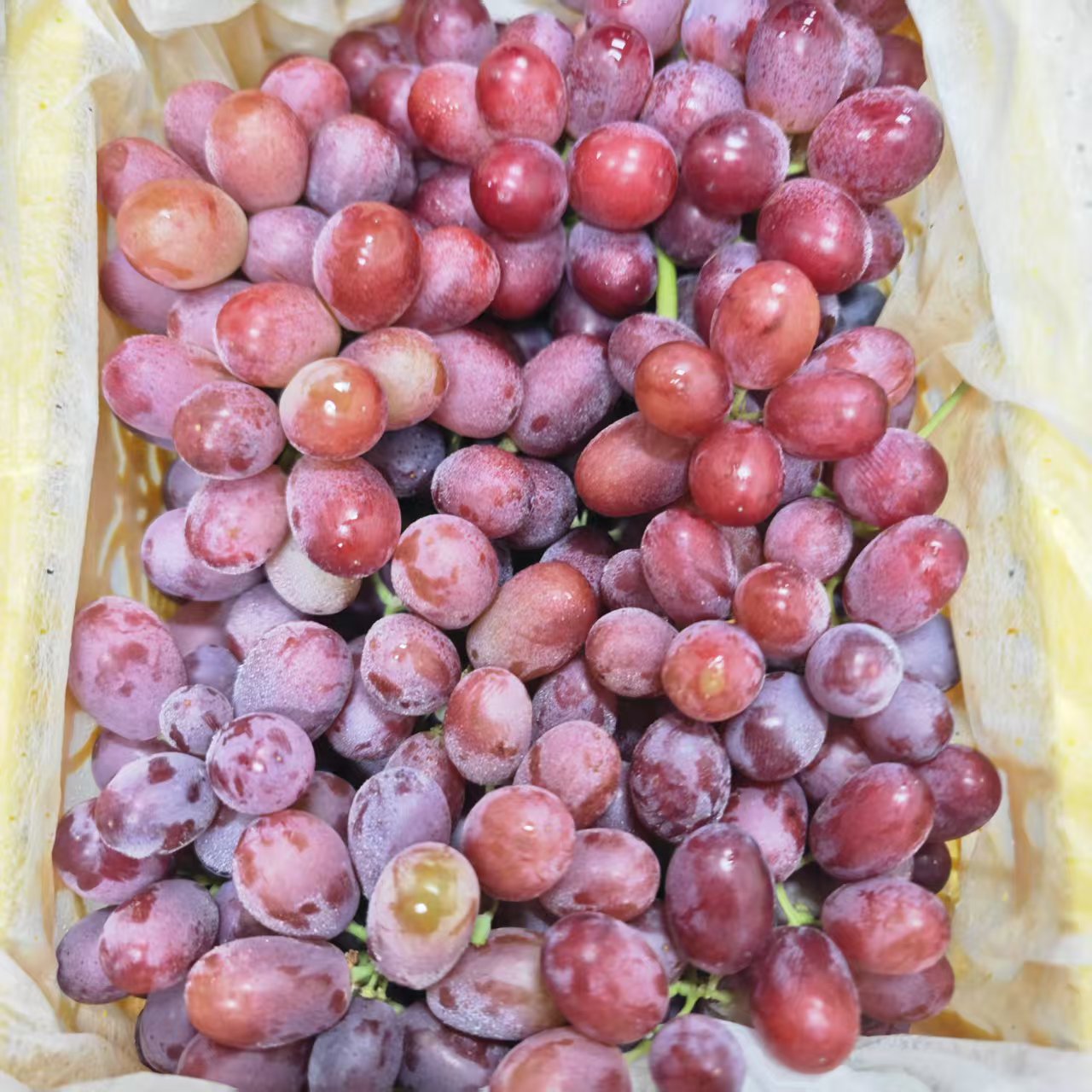 【克伦生红提】1框--带框4.5斤左右 仅限大同平城区 云冈区可拍