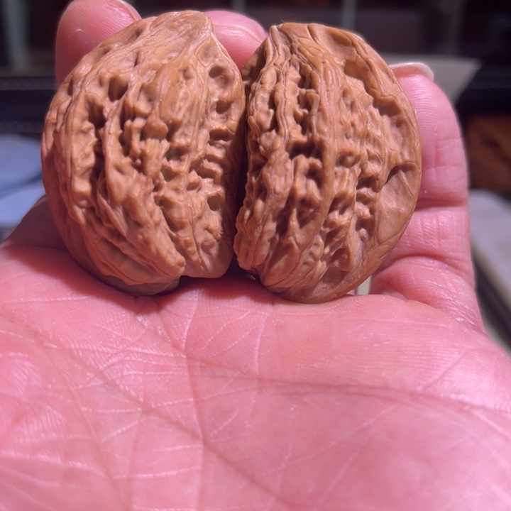 文玩核桃把件野生半臂