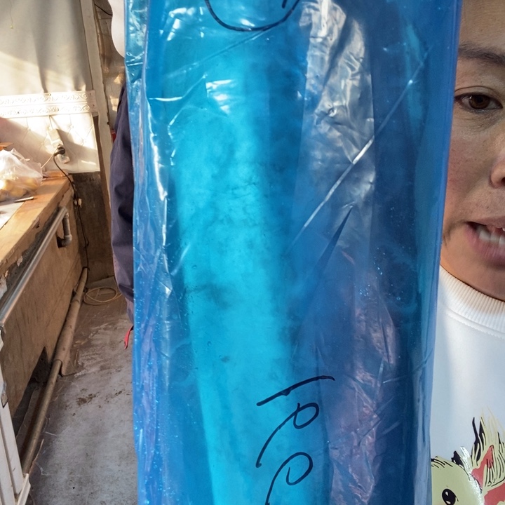 中国大陆渤海湾野生燕鲅鱼62号