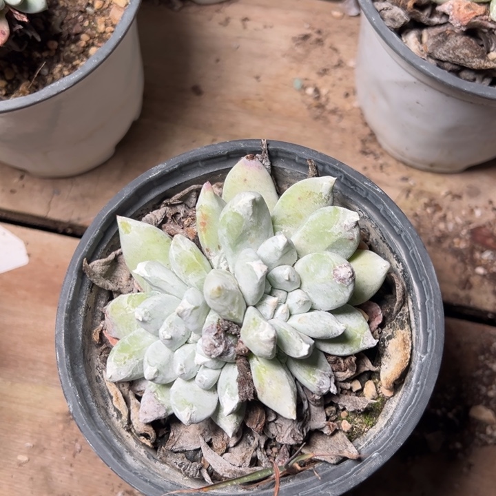 426哈哈哈哈哈哈哈哈哈