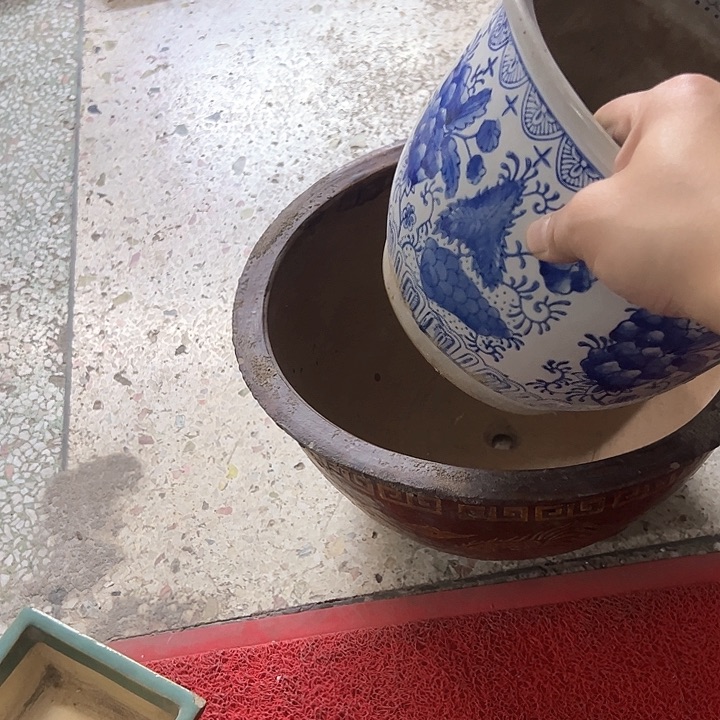 红陶小***?。。。。。。。。。。。。。。