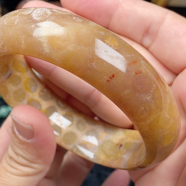 未镶嵌手镯硅化玉60.7