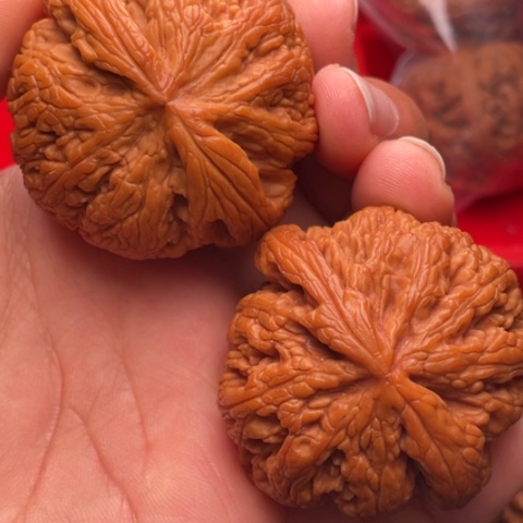 文玩核桃把件秦岭山脉核桃