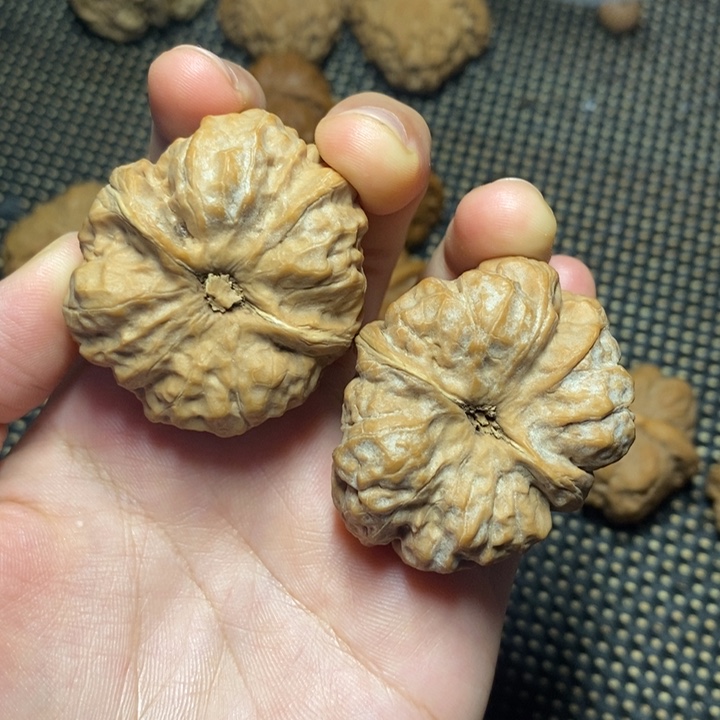 文玩核桃把件蛤蟆头39尺寸