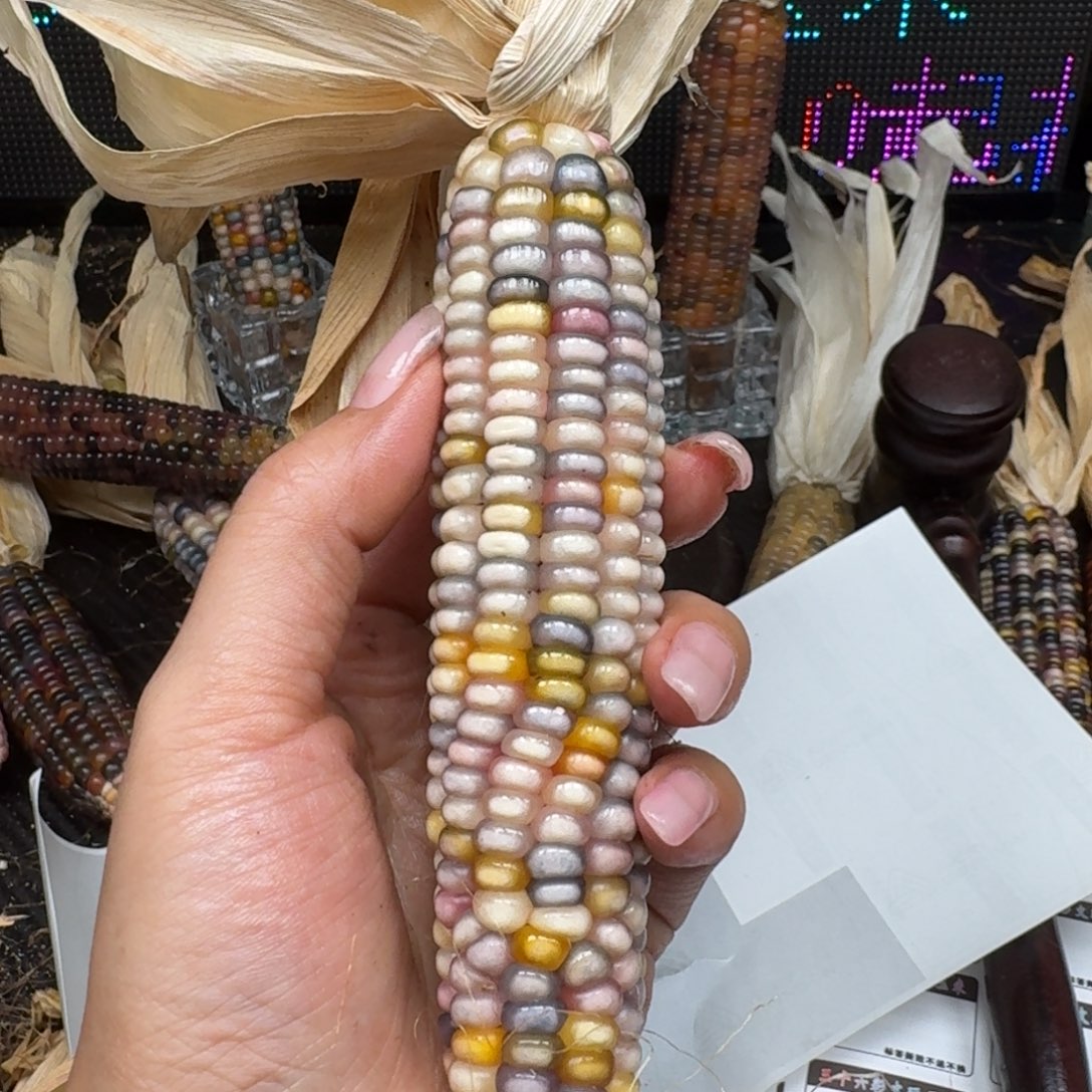 柏香籽/百香籽吊坠麦*洛