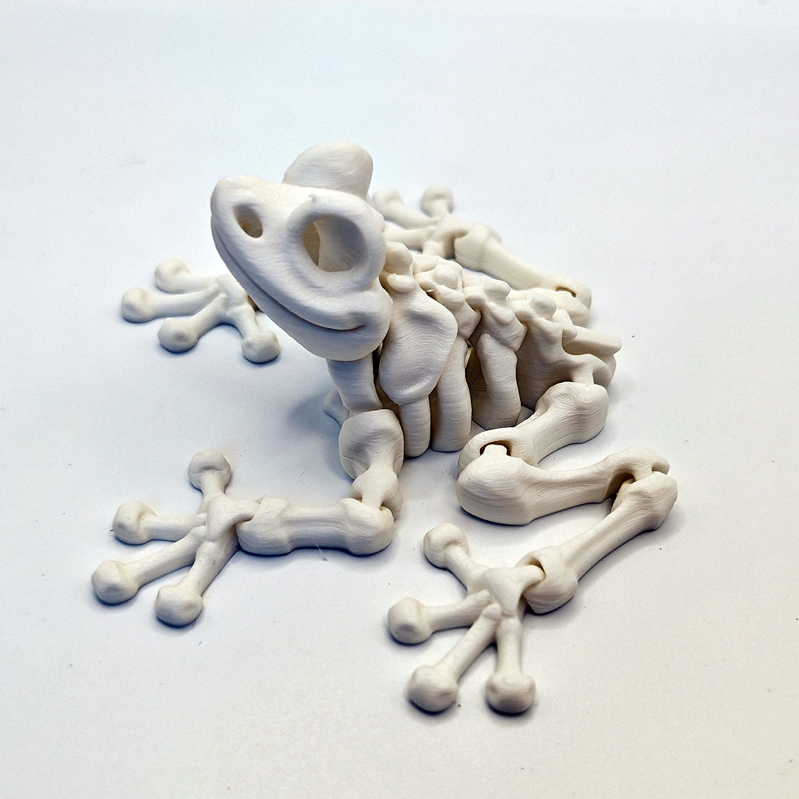 青蛙骨架3D打印青蛙骷髅关节可动桌面摆件礼物玩具