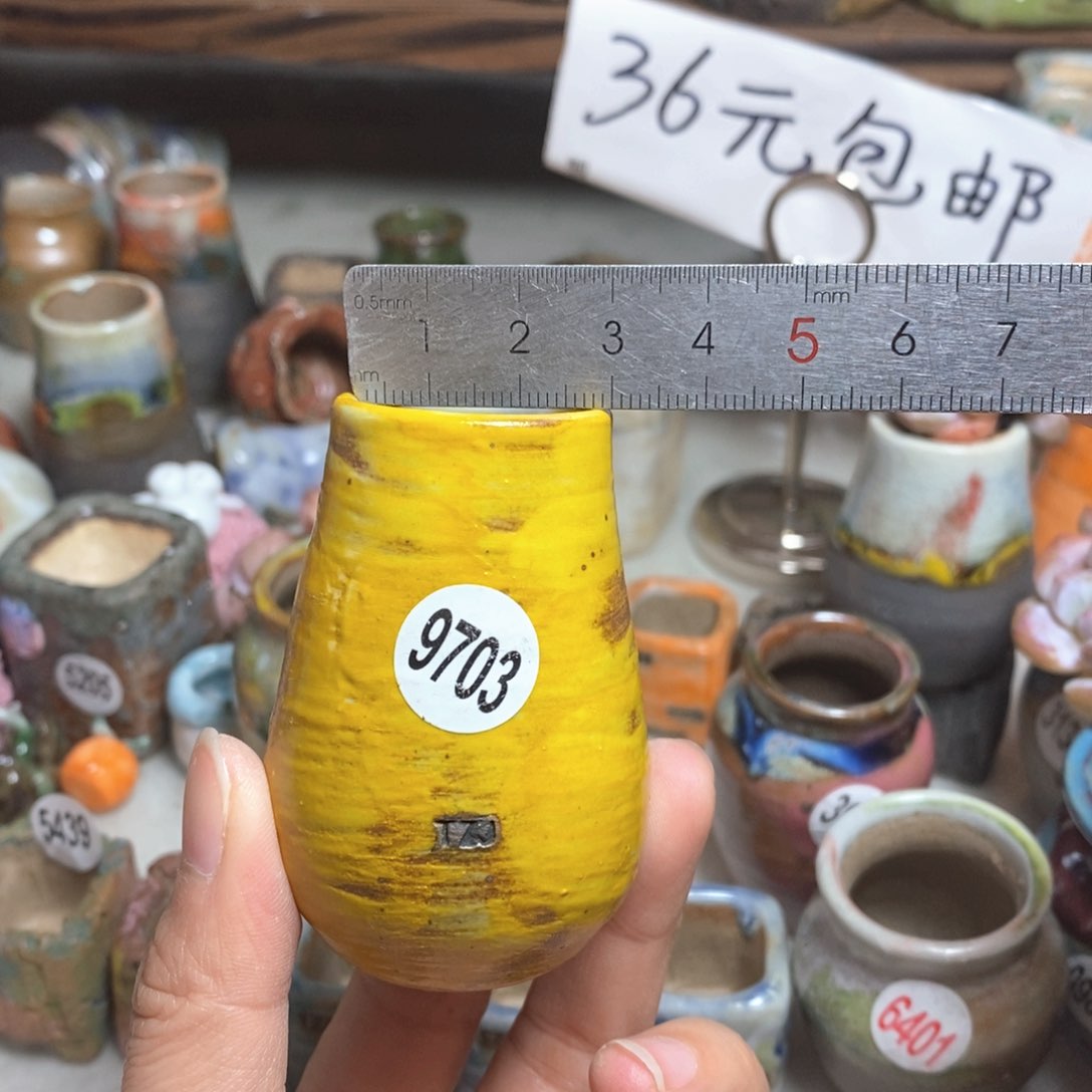 拍5送一个小礼物