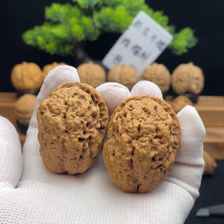 文玩核桃把件核桃7-32