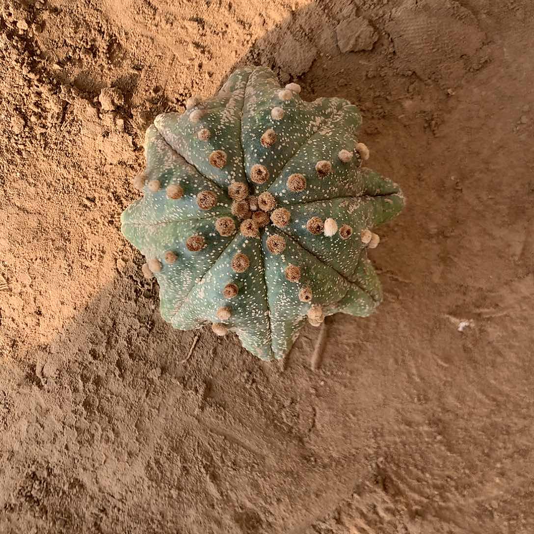 【闪购商品】一兜兜兜