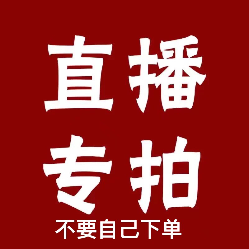 澳洲杉室内高档盆景办公居家摆放