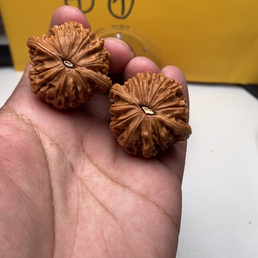 核桃手串/手链在下赛季就结束