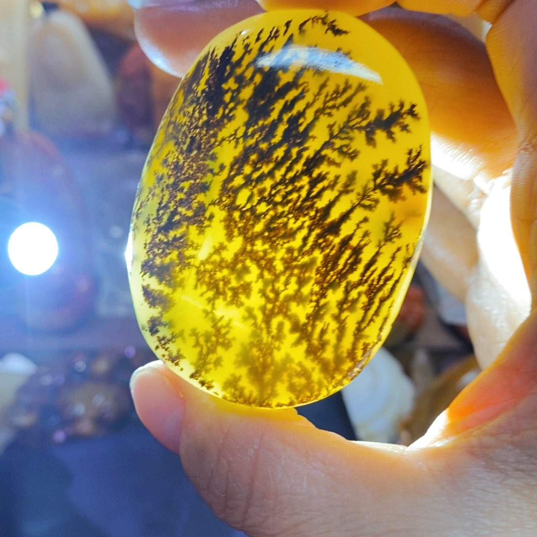 石英质玉（黄龙玉）颈饰未镶嵌