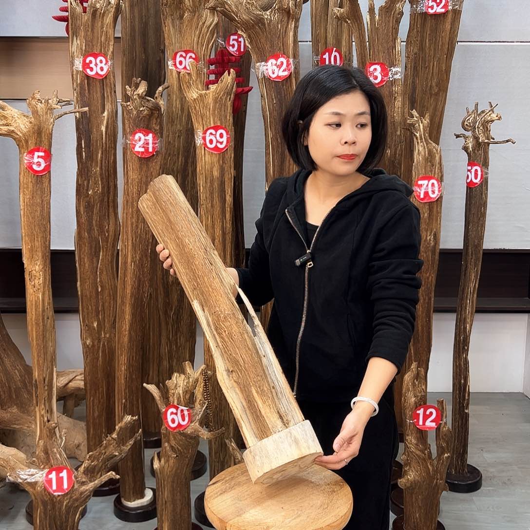 沉香摆件海南沉香摆件