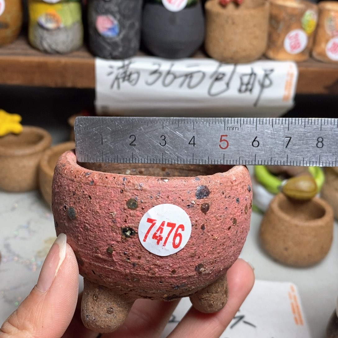 红陶拍5送一个小