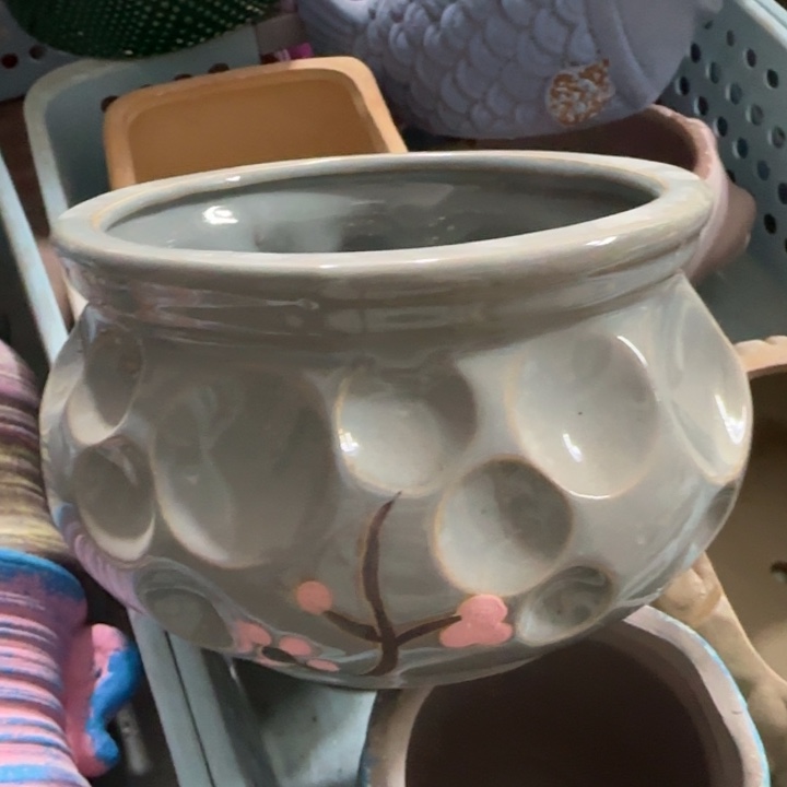 《所有单满15发（花盆）》13×9