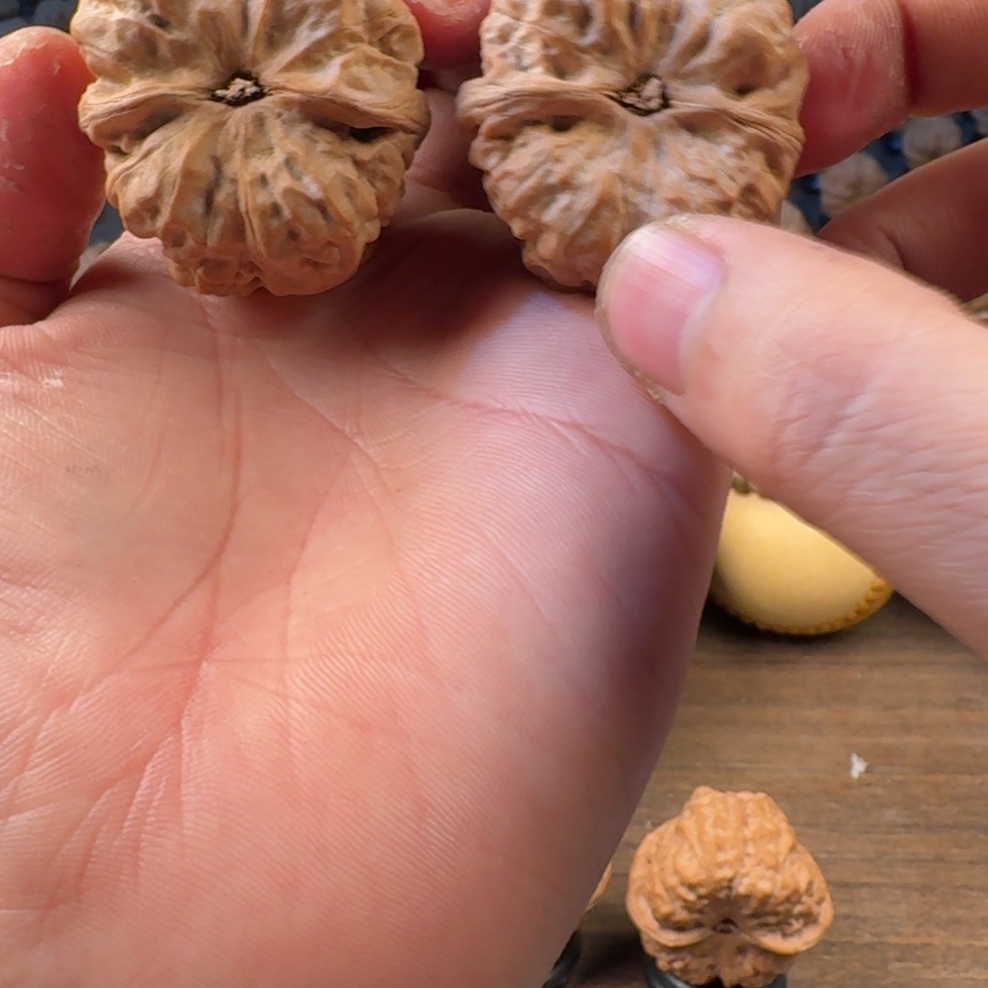 何***陌吊坠文玩核桃蛤蟆的眼睛是真的好看啊我