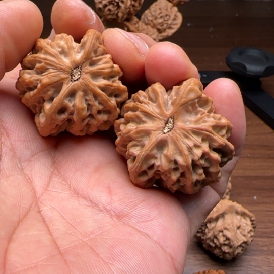 文玩核桃吊坠风**舟36尺秦闷狮子头