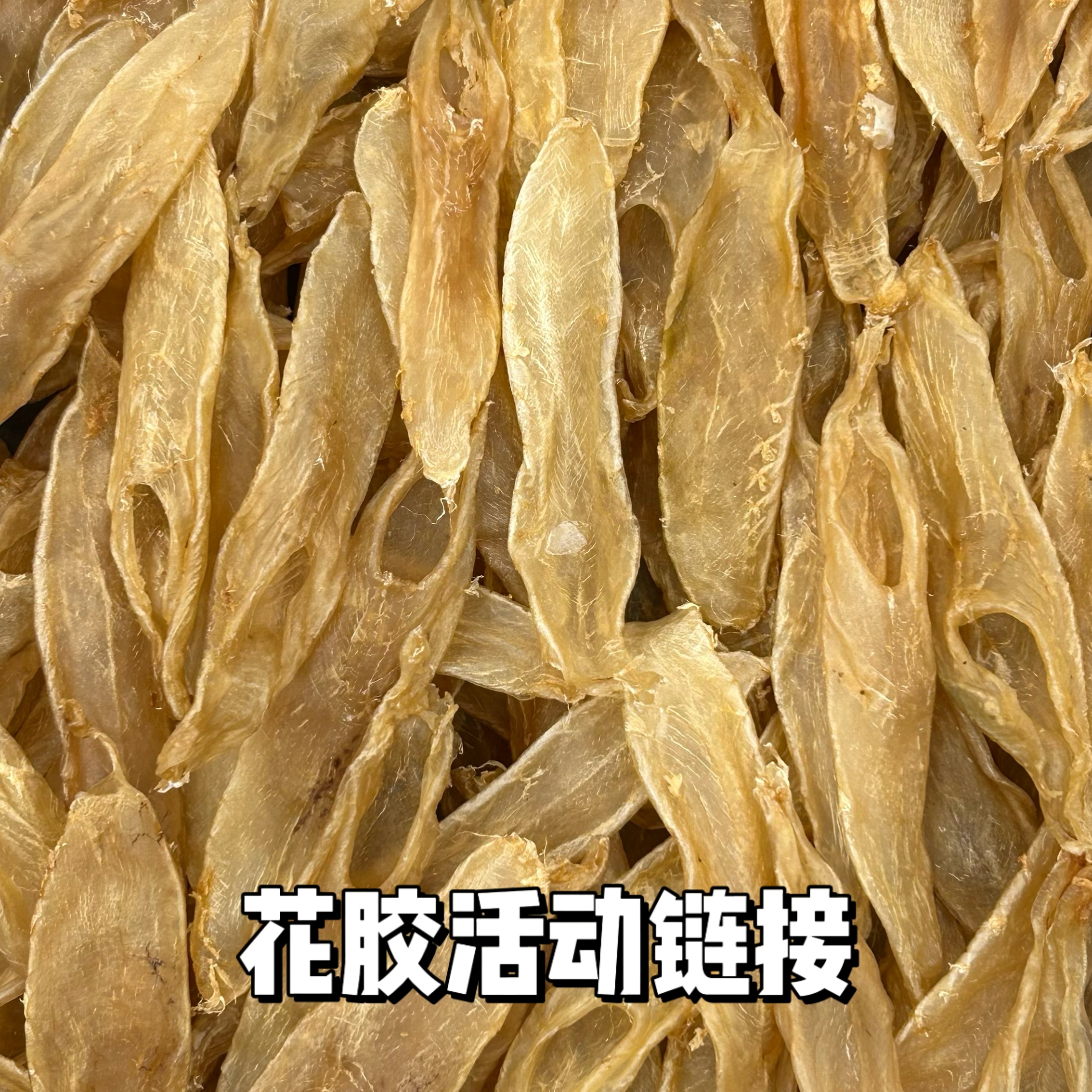 珍宝汇花胶鱼胶活动链接8