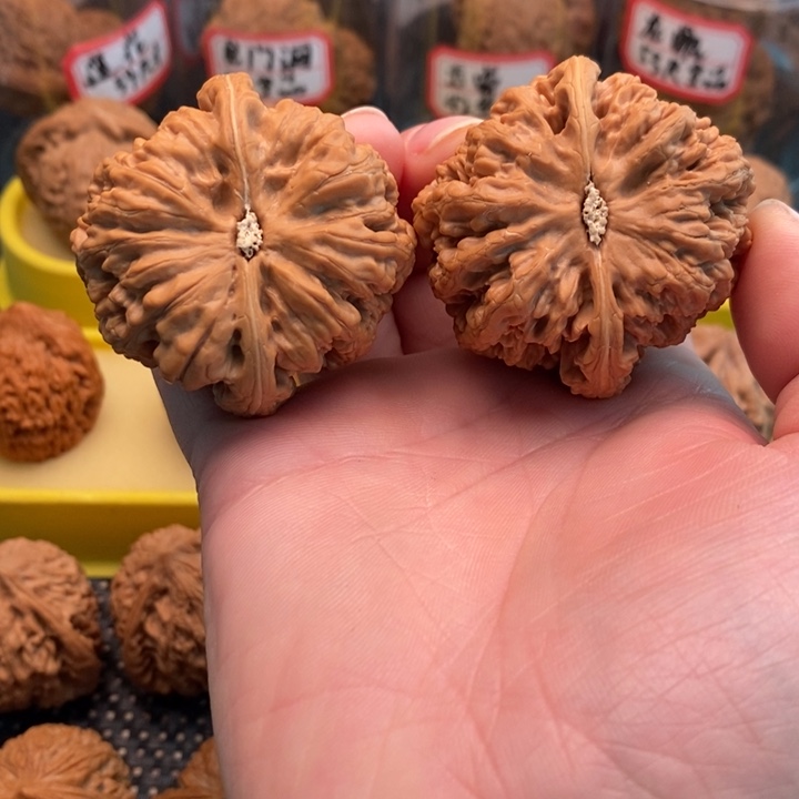 橄榄核手串/手链旁*大粗筋