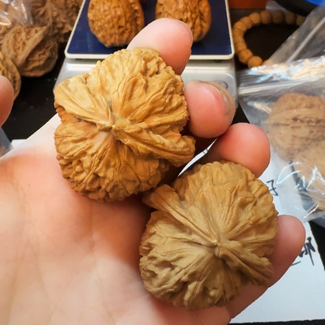 文玩核桃吊坠38+白狮子