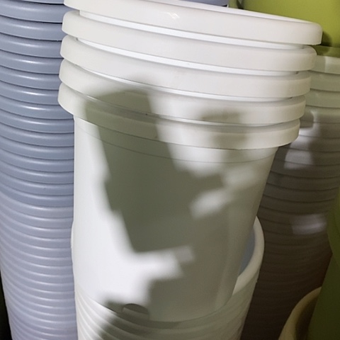 树脂四季4号5个无托白