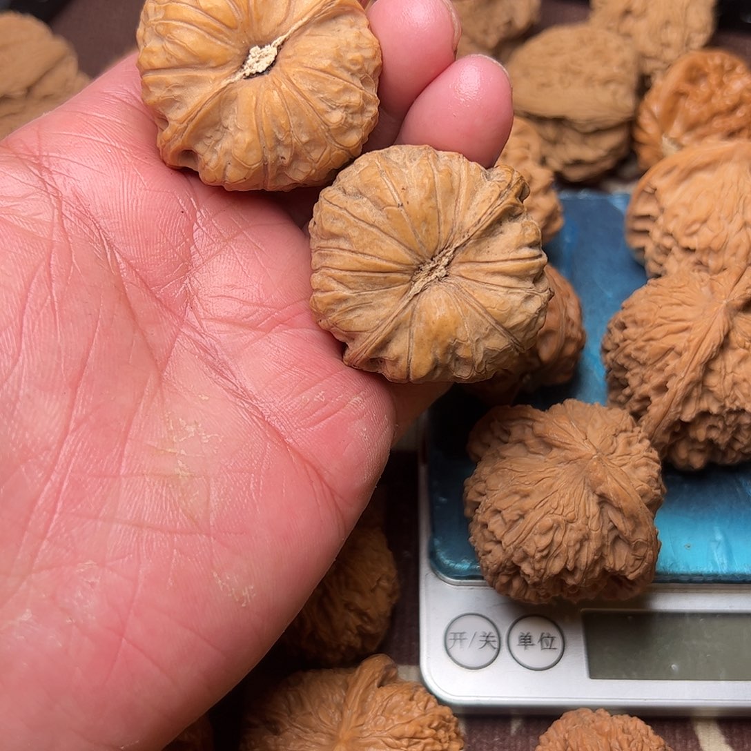 班***风文玩核桃老树南瓜