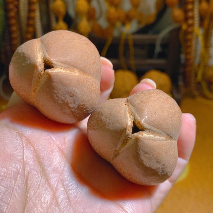 野生蟠桃三花大橄榄