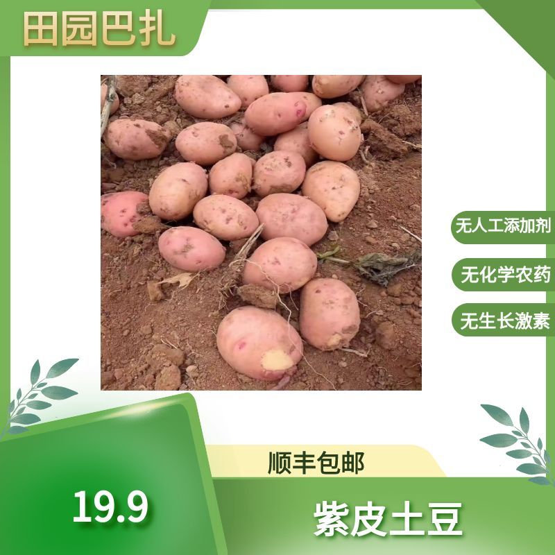紫皮土豆 500克