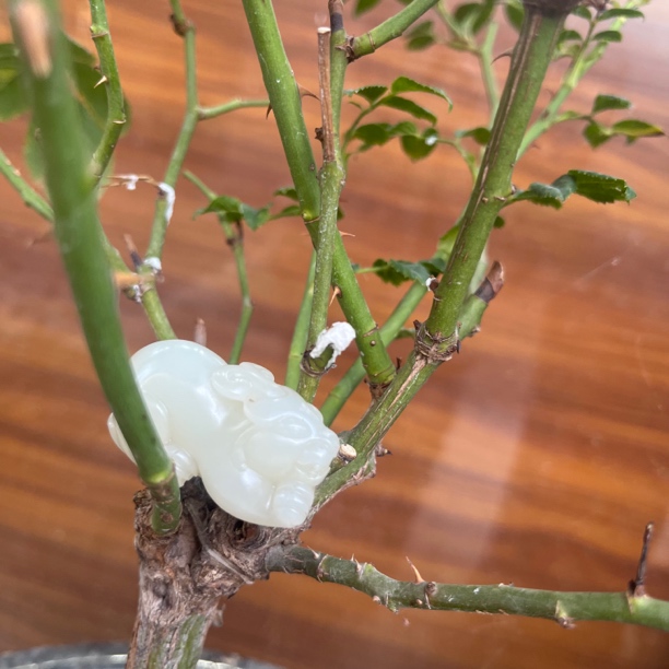 和田玉貔貅挂件。