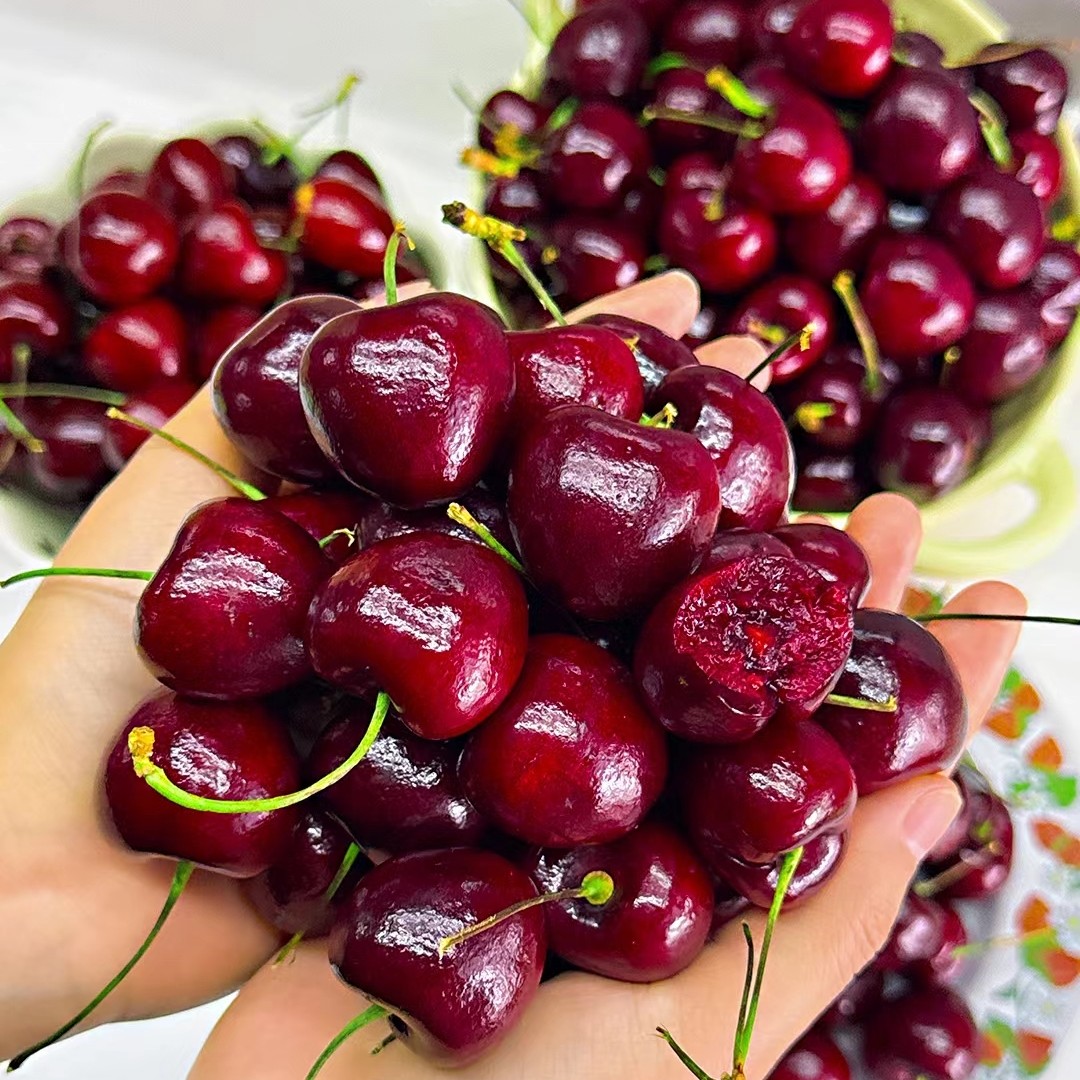 【XLD】拉宾斯车厘子10斤