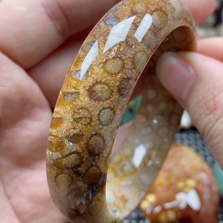 硅化珊瑚（珊瑚玉）颈饰未镶嵌56有瑕