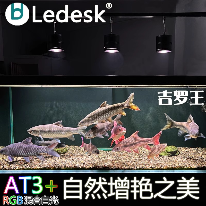 乐迪吉罗王鱼缸爆出苔灯全光谱LED鱼缸筒灯爆藻鱼缸灯防水照明灯