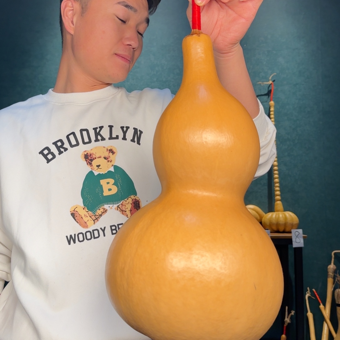 用***6葫芦葫芦村等自然保护地带进行考察与