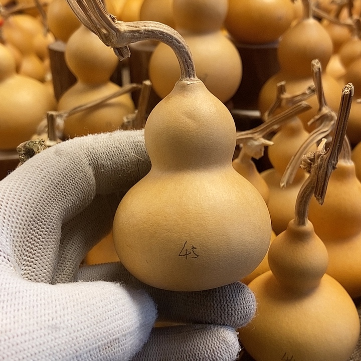 文玩葫芦 完美主义者 慎拍45