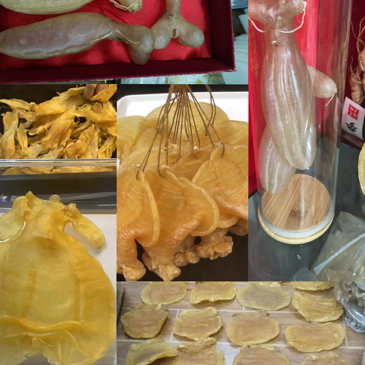 （卿卿滋补行）鱼胶以直播间现称重1-500g