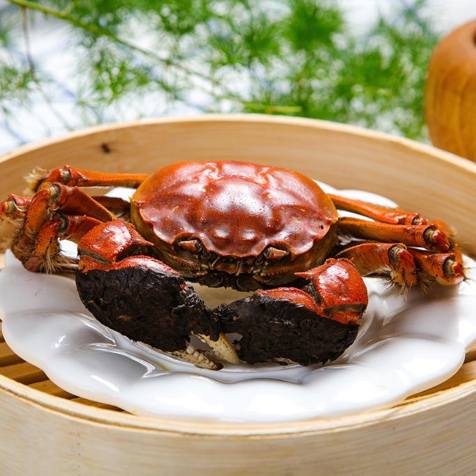 【6.5-6.2两公蟹+5.5-5.2两母蟹 活蟹】6/8只装 苏州大闸蟹顺丰京东冷链鲜活到家大闸蟹