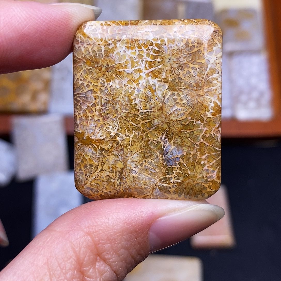 硅化玉珠宝奇石合金跨*