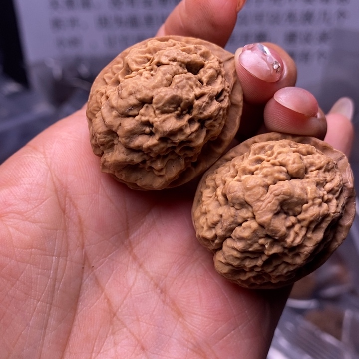 核桃云南野生铁核桃59号35mm