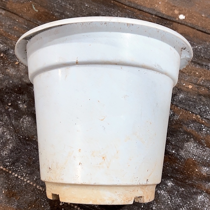 塑料口径24.5高度21大白盆一组10个