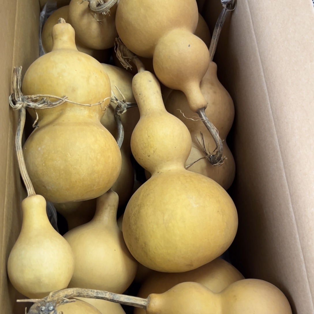 你***啥有机玻璃葫芦葫芦