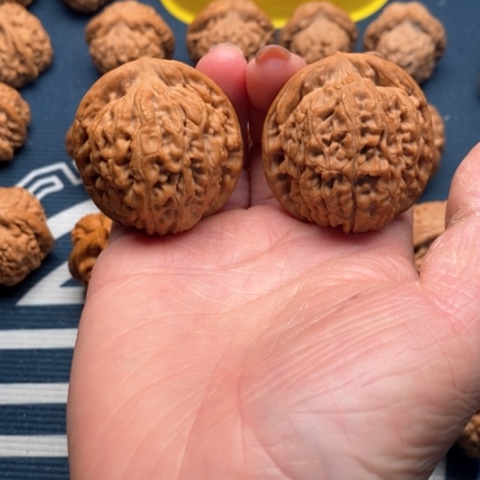 橄榄核手串/手链莲花40