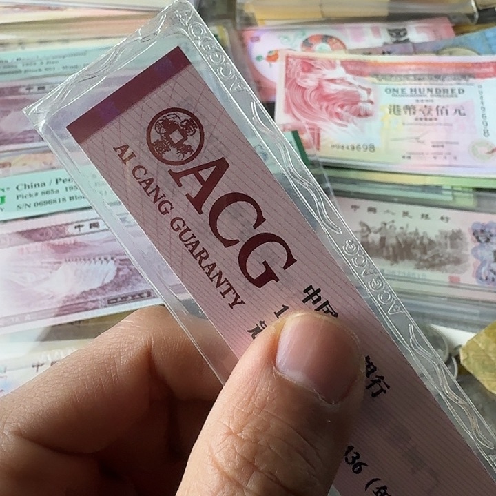 刚补号50……………………