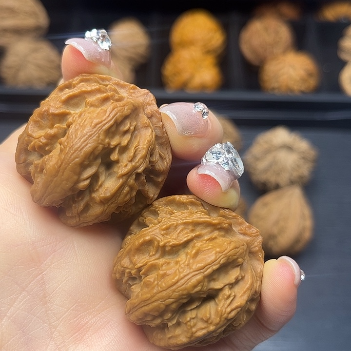 核桃秦岭山脉中段怒江与澜沧江