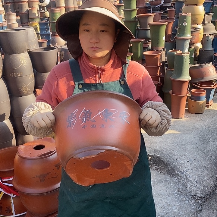 紫砂花盆紫砂花盆盆栽花卉苗木种植