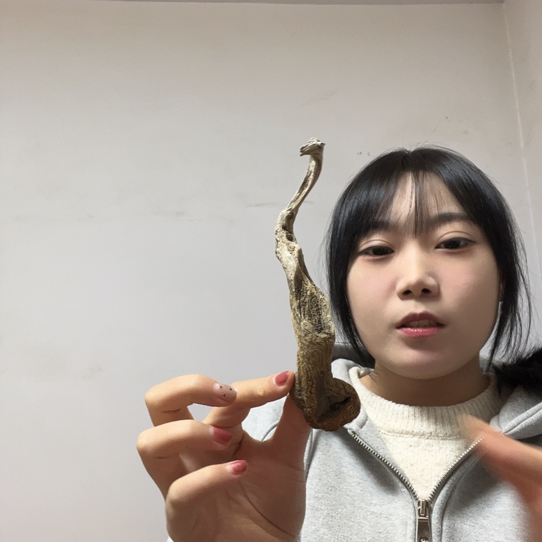 用***9柏木我是一只小小鸟地域鬼的