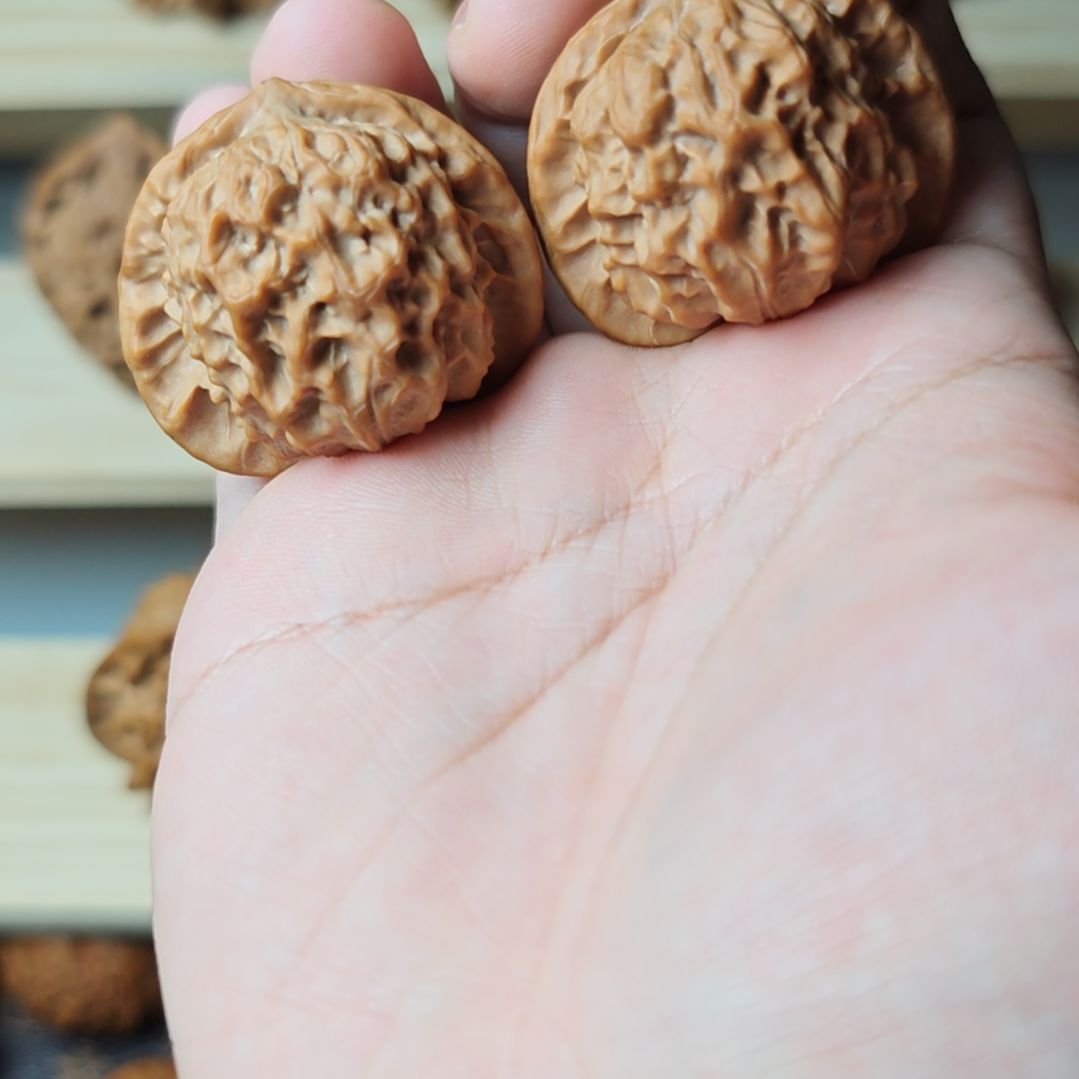 原树41瓷娃娃嘎嘎板正皮质无敌好