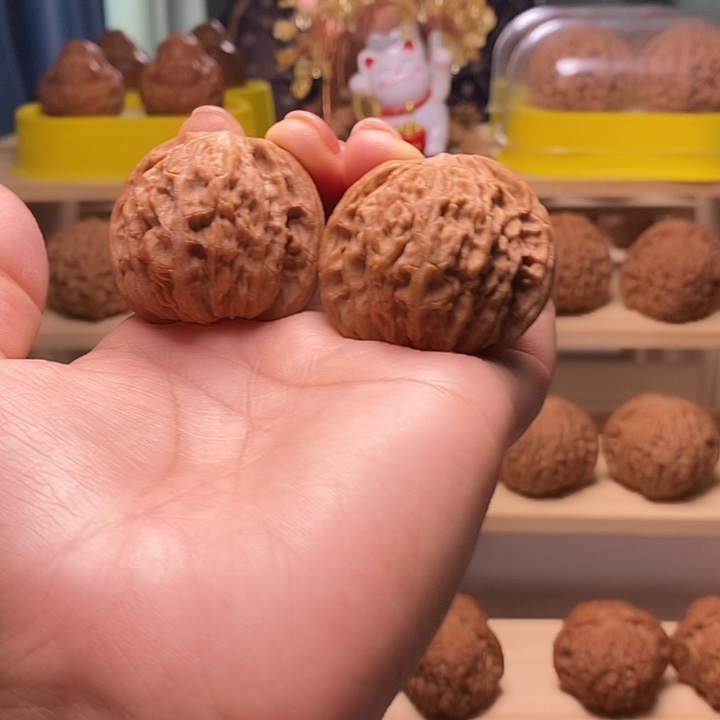 核桃42尺寸的山地磨
