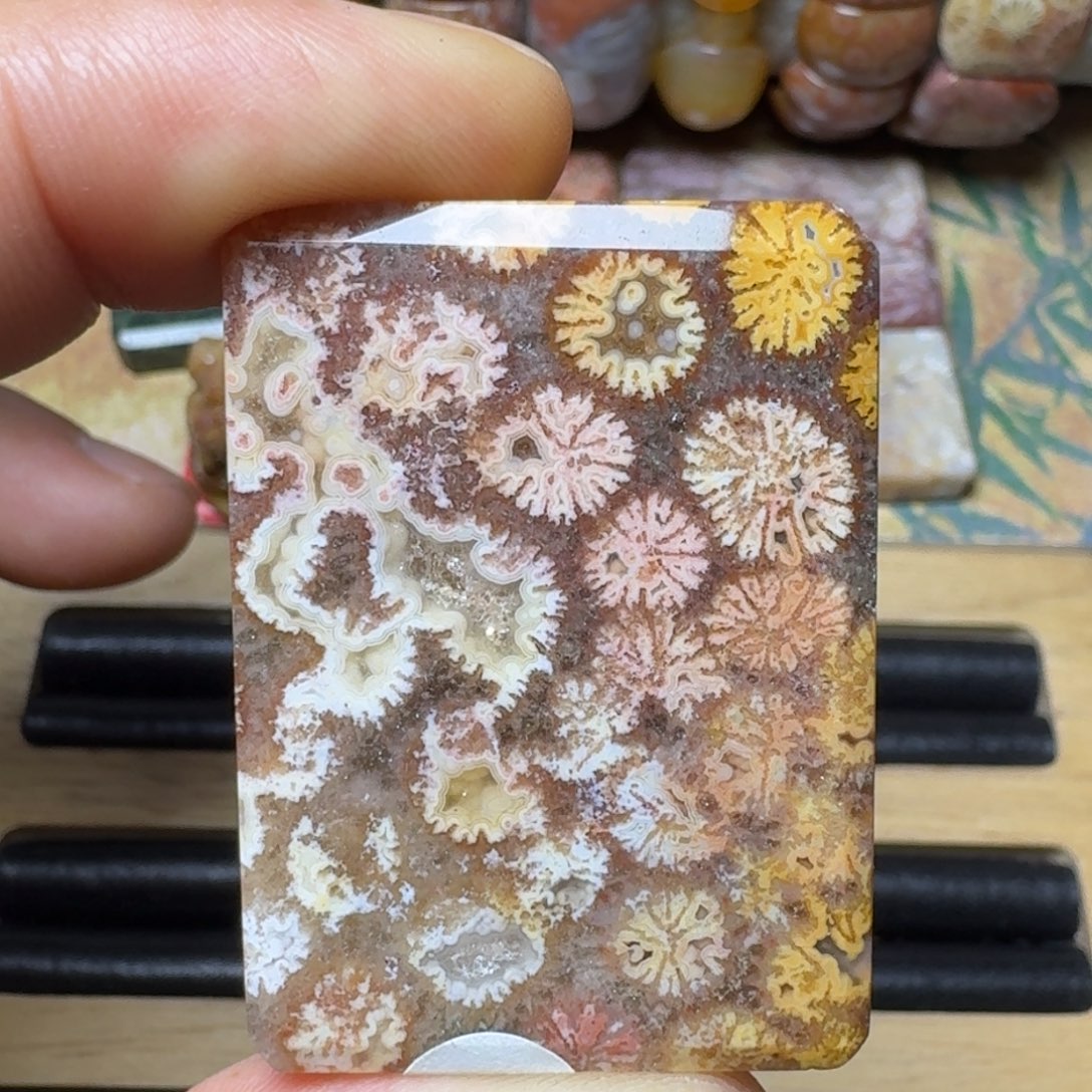 硅化玉天然有机玉石保真色未镶嵌